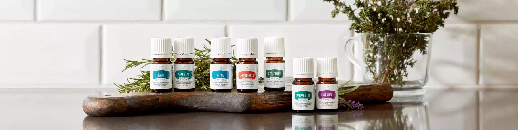 reactivate your Young Living Account